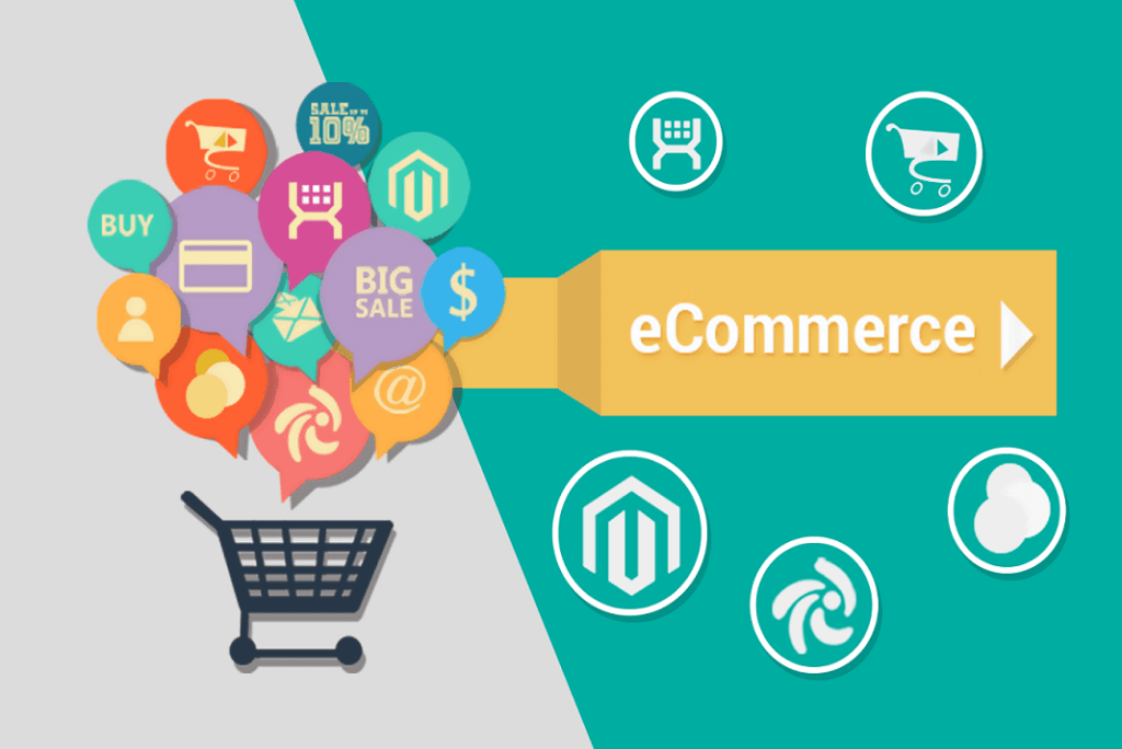 E-Commerce Website Design and Development India