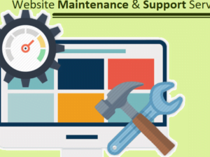 Website Maintenance and support Services