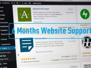 6 Months unlimited website support services