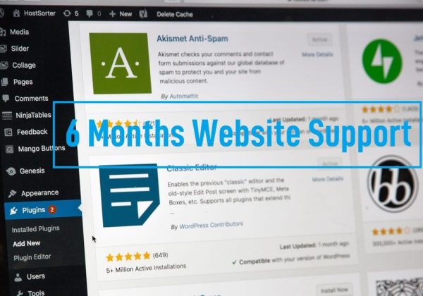6 Months unlimited website support services